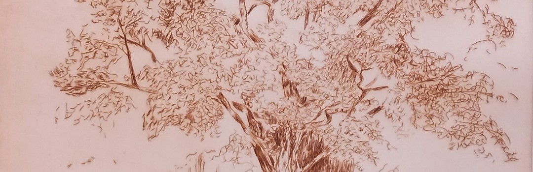 Lenoir-arbre-aquatinte-28x39-2023.jpg